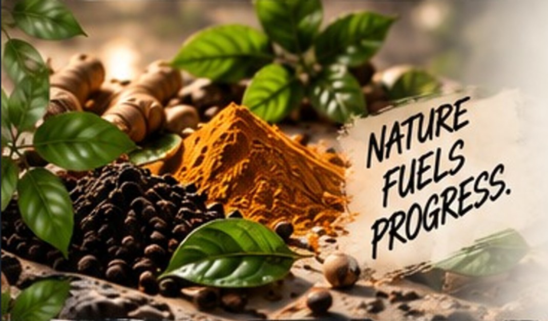 Turmeric, black pepper and leaves. Nature fuels progress.
